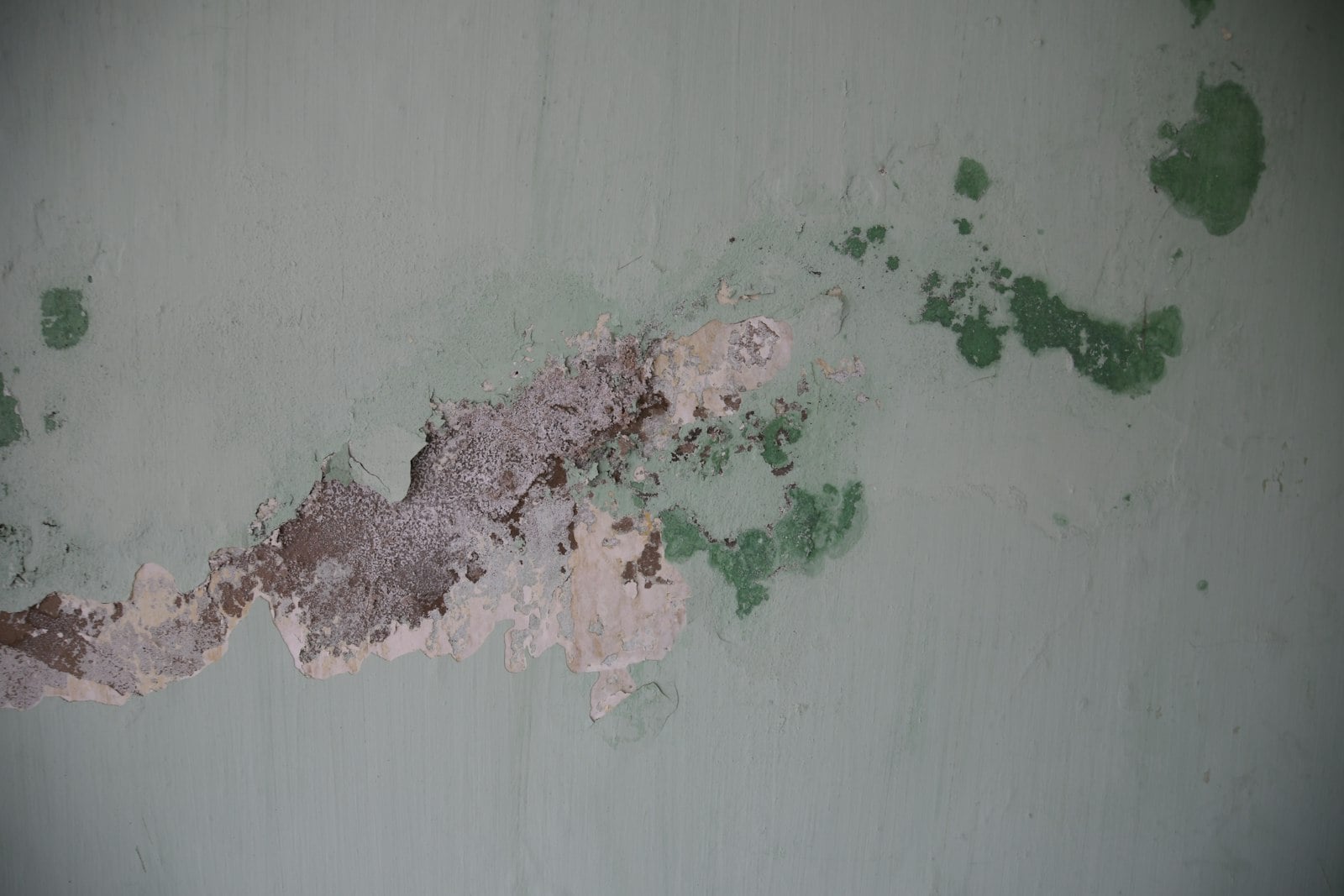 Wall with peeling paint and green mold patches